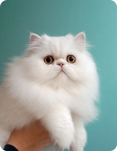 Моё изображение